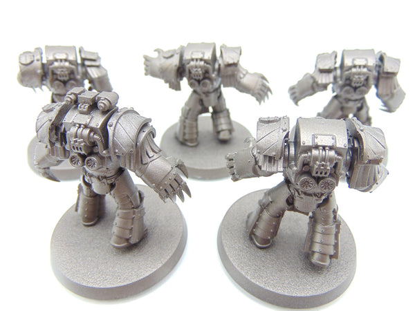 Cataphractii Terminator Squad