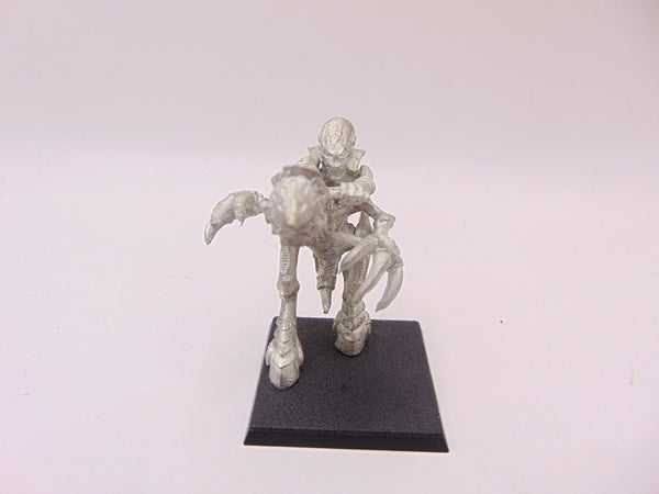 Tyranid Warrior with Devourer