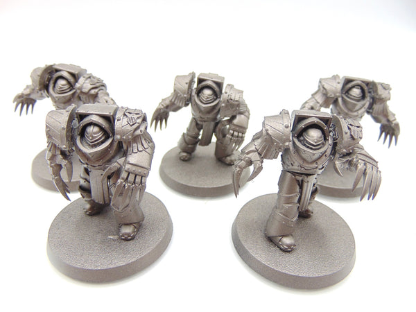 Cataphractii Terminator Squad
