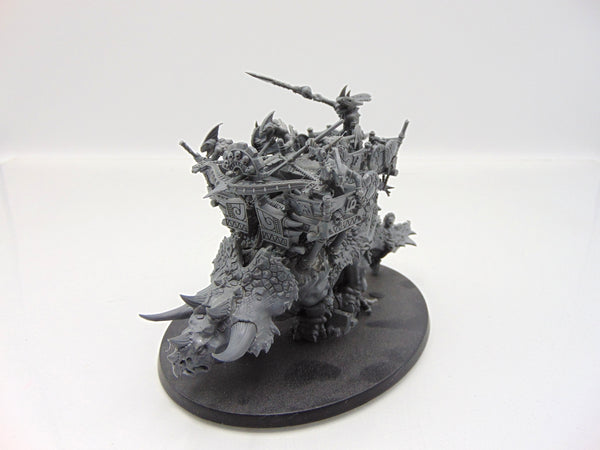 Skink Chief on Stegadon