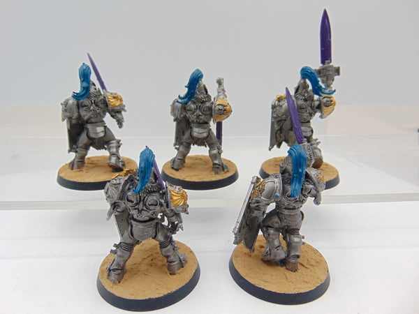 Custodian Guard Squad