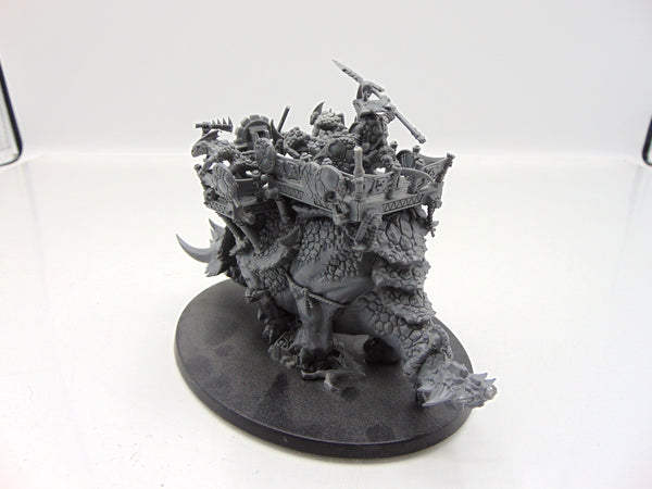 Skink Chief on Stegadon