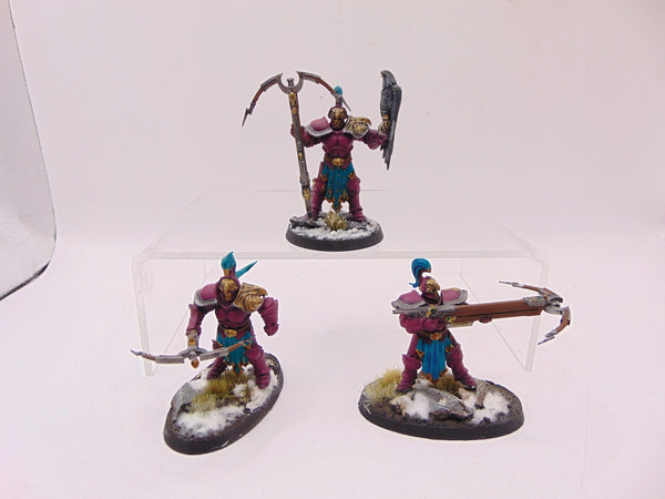 Vanguard Raptors