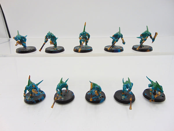 Skinks