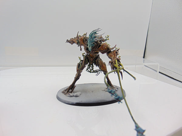 Drycha Hamadreth