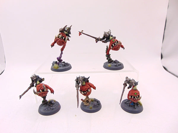 Boingrot Bounderz