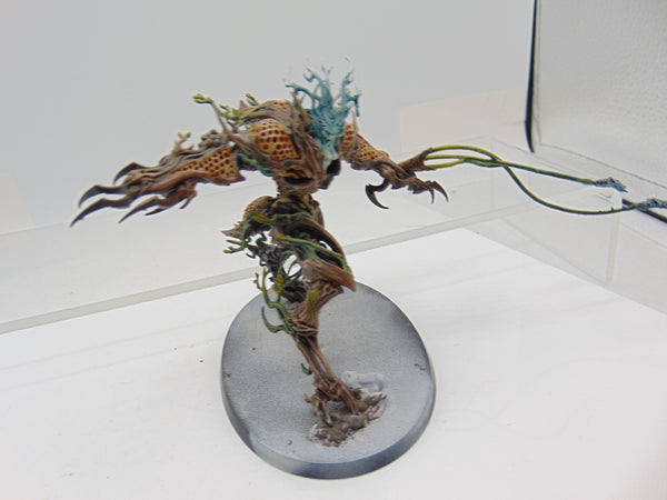 Drycha Hamadreth