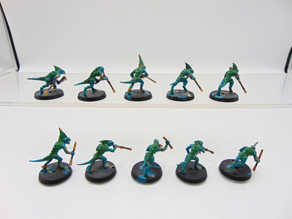 Skinks