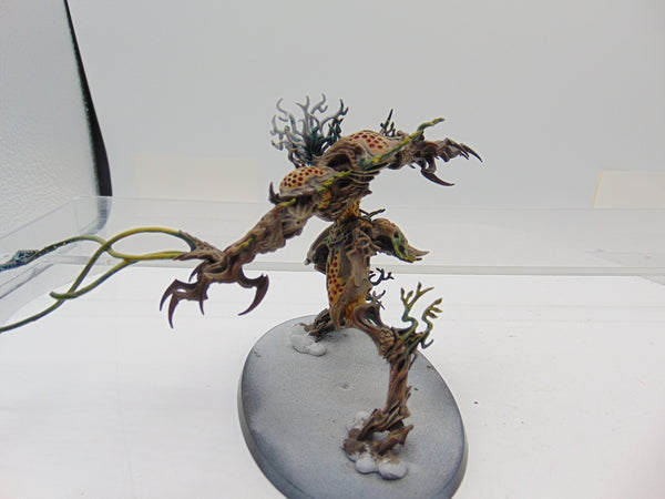 Drycha Hamadreth