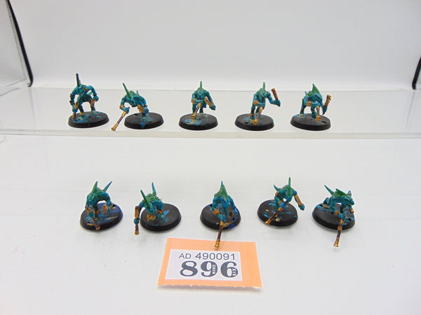 Skinks