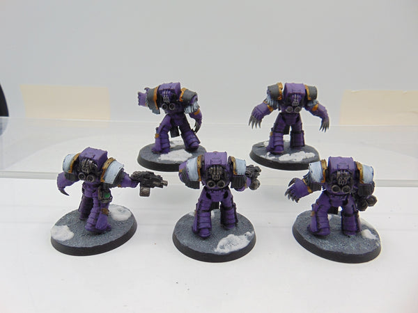 Cataphractii Terminator Squad