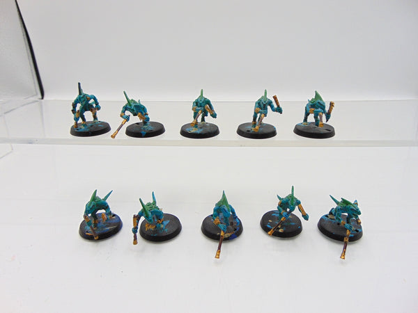 Skinks