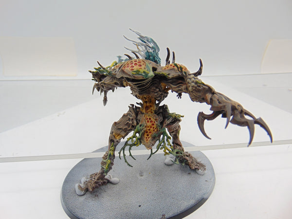 Drycha Hamadreth