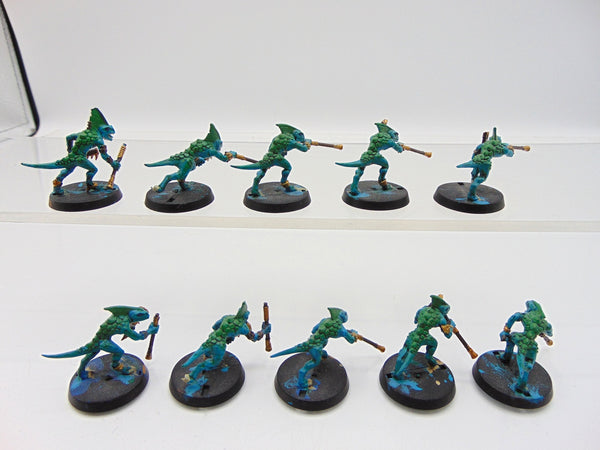 Skinks