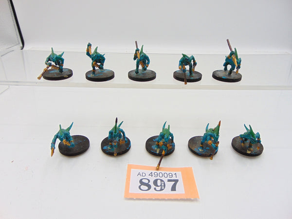 Skinks
