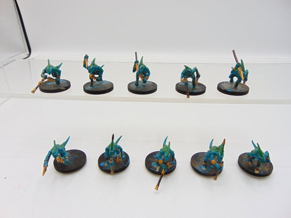 Skinks