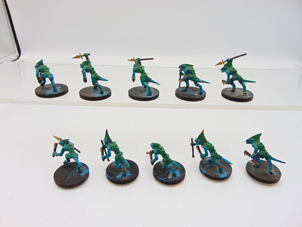 Skinks