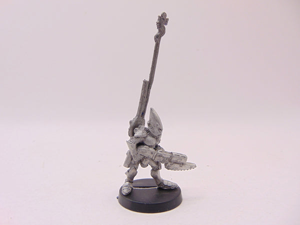 Space Elf Standard Bearer Nael Fleetfoot
