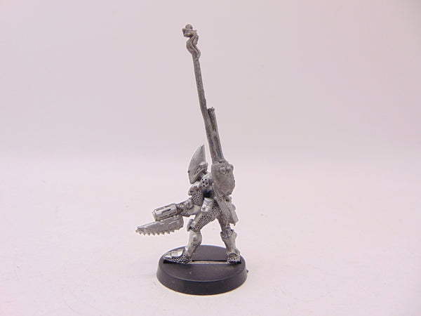 Space Elf Standard Bearer Nael Fleetfoot