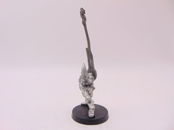 Space Elf Standard Bearer Nael Fleetfoot