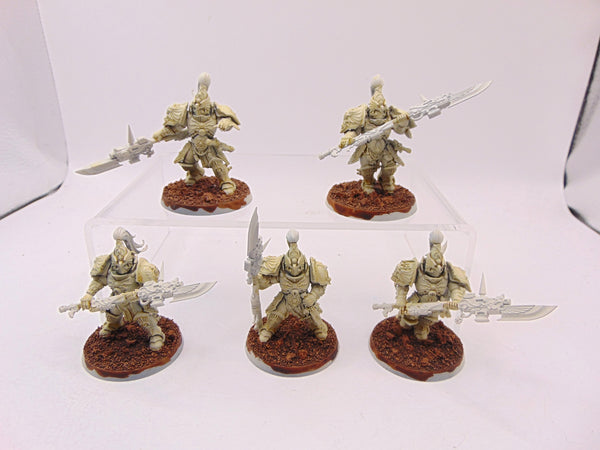 Custodian Guard