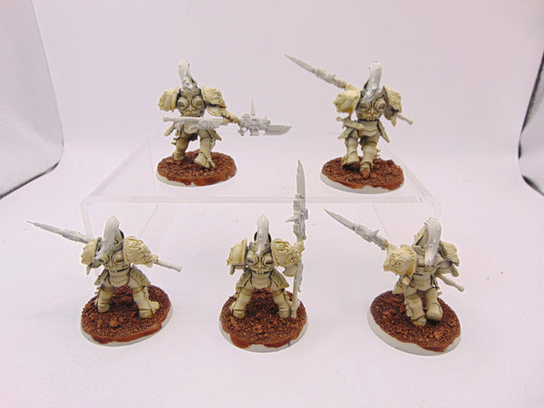 Custodian Guard