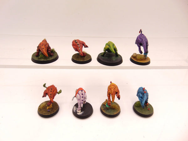 Squig Herd