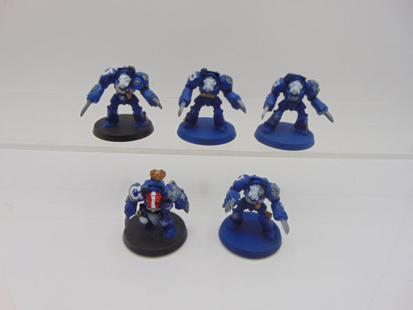 Terminator Assault Squad