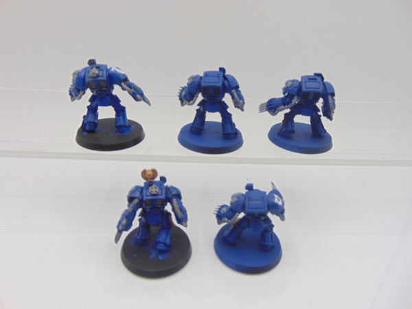 Terminator Assault Squad