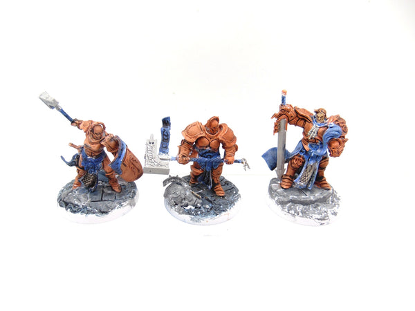 Steelheart's Champions