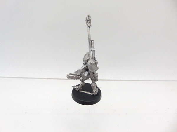 Space Elf Standard Bearer Menhe Worldsong