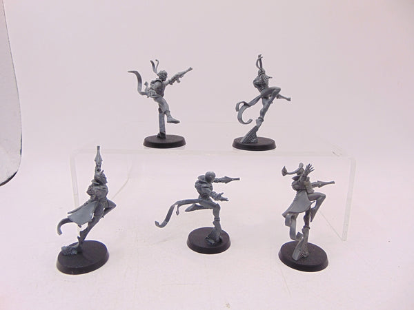 Harlequin Troupe