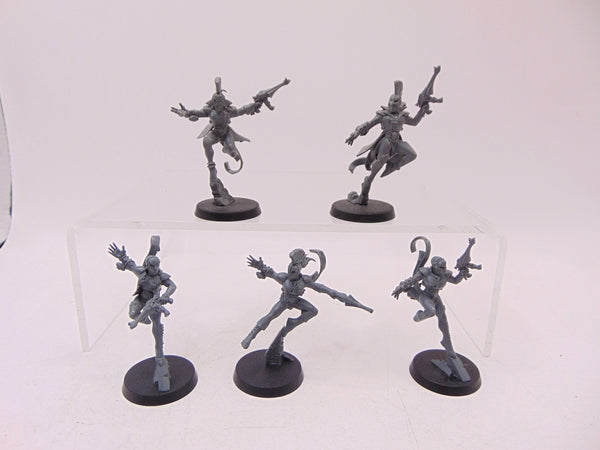 Harlequin Troupe