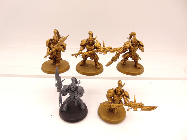 Custodian Guard