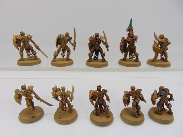 Mortek Guard