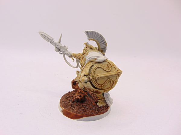 Shield Captain