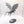 Knight Draconis