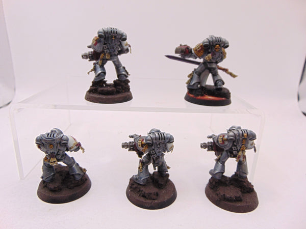 Purgation Squad