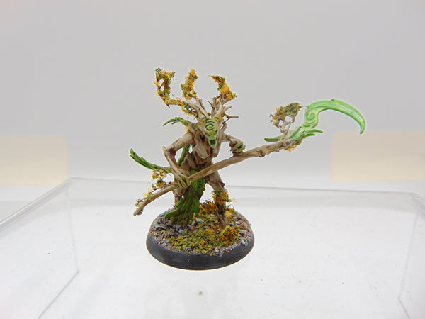 Branchwych