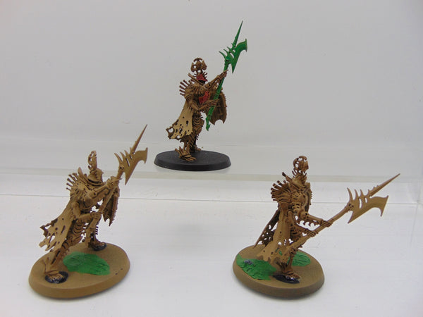 Immortis Guard