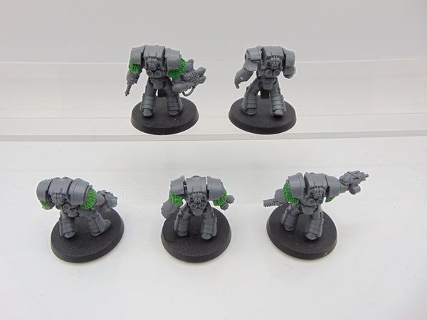 Cataphractii Terminator Squad