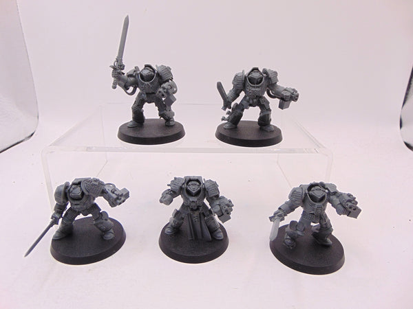 Brotherhood Terminator Squad