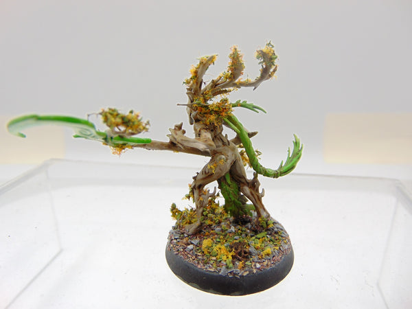 Branchwych