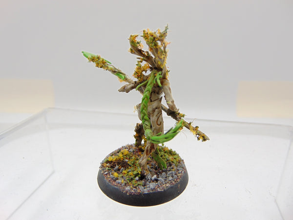 Branchwych