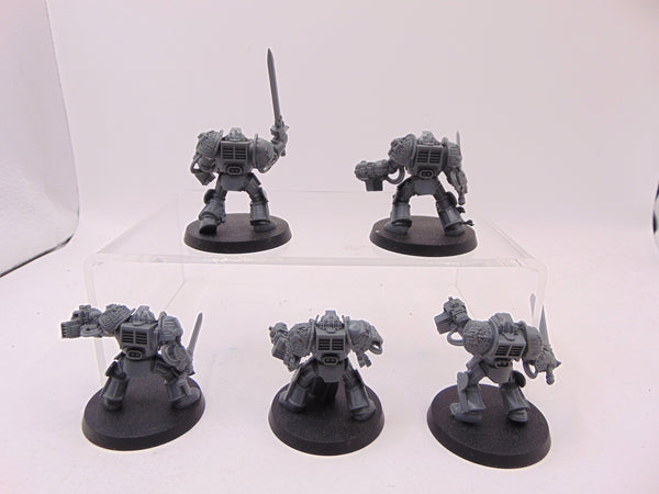 Brotherhood Terminator Squad