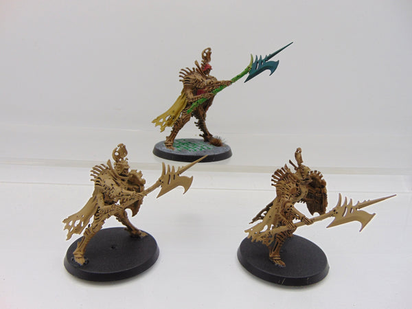 Immortis Guard