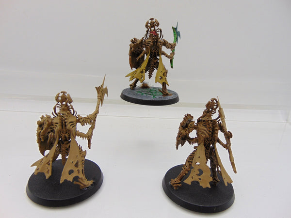 Immortis Guard