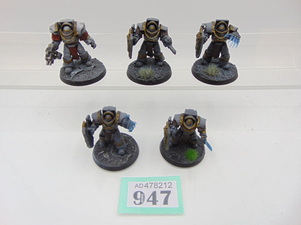 Cataphractii Terminator Squad