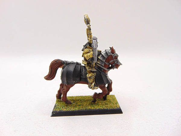 Grand Master Of The Knights Of The Blazing Sun