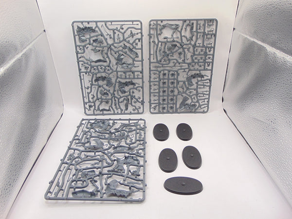 Attilan Rough Riders